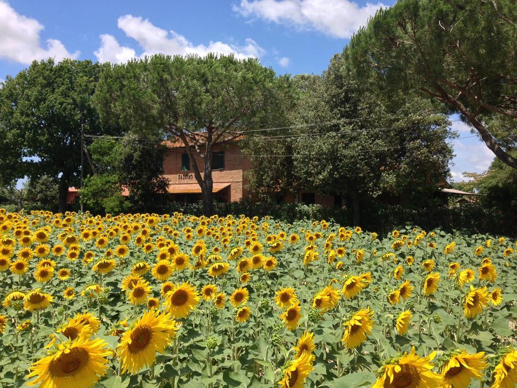 Agriturismo Salcino Villa Grosseto Exterior foto